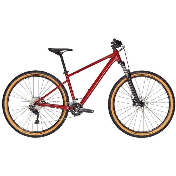 Focus 29er mountain bike shop